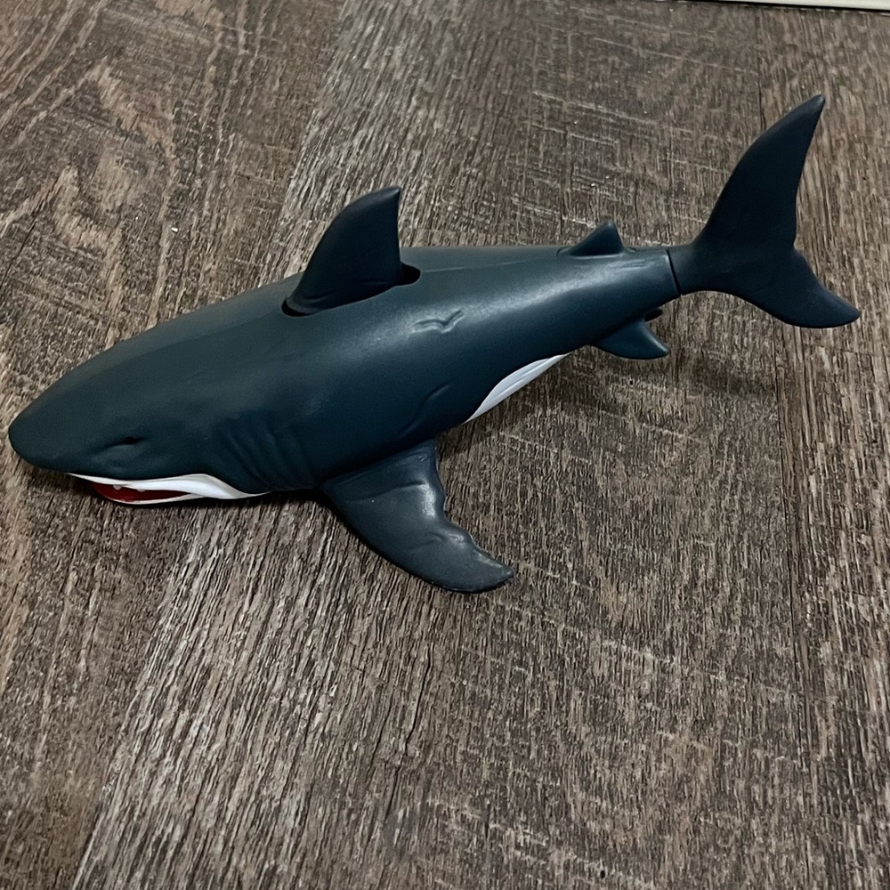Pool Toy